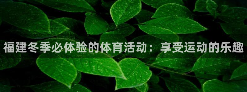 江苏星奥娱乐招艺人