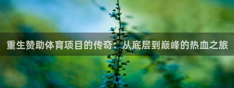 星游娱乐下载地址