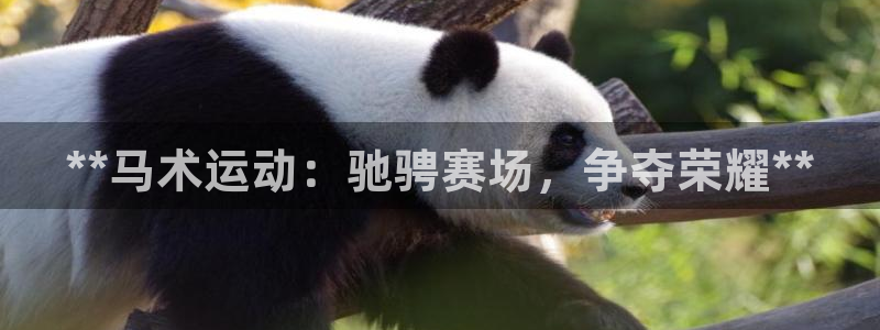 星奥娱乐集团官网