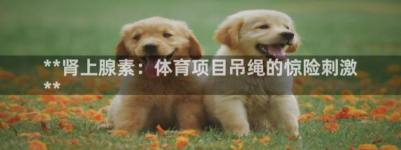 星欧娱乐扣款怎么回事