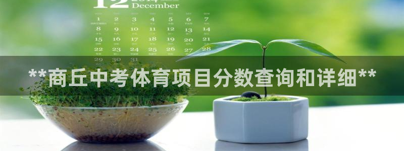 星欧娱乐载711.112使用教程详解