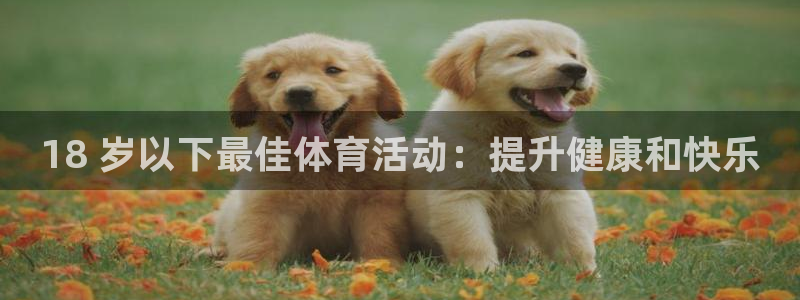 星欧娱乐扣款时间查询方法是什么意思