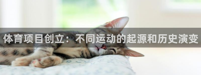 星欧娱乐平台怎么样可靠吗安全吗