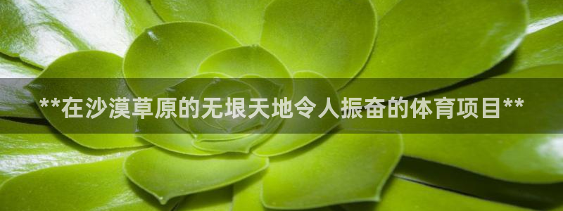 星欧娱乐联售后服务评价