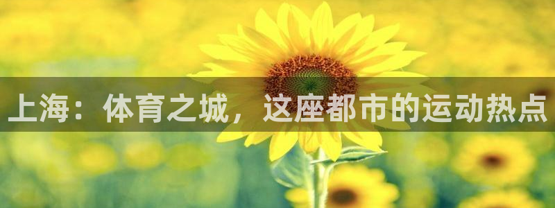 星欧娱乐是正规平台吗安全吗知乎