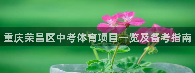 星乐娱乐