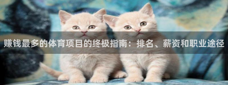 星奥娱乐集团股份有限公司官网