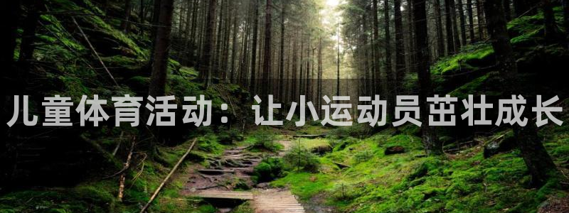 星欧娱乐挂机