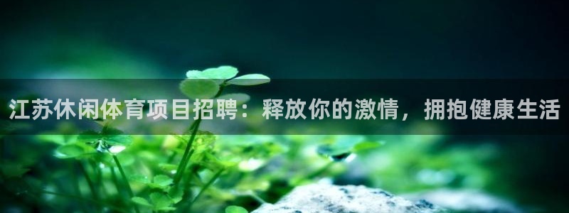江苏星奥娱乐有限公司怎么样
