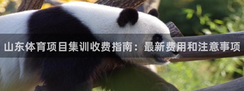 星欧娱乐工客服电话24小时人工服务