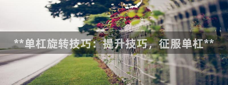 星欧娱乐扣款流程详解视频