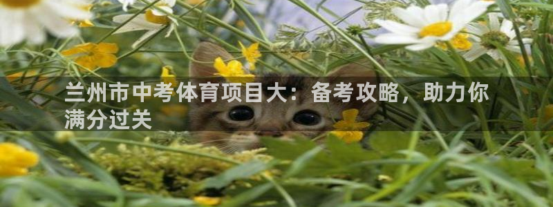 星欧娱乐是正规平台吗知乎推荐