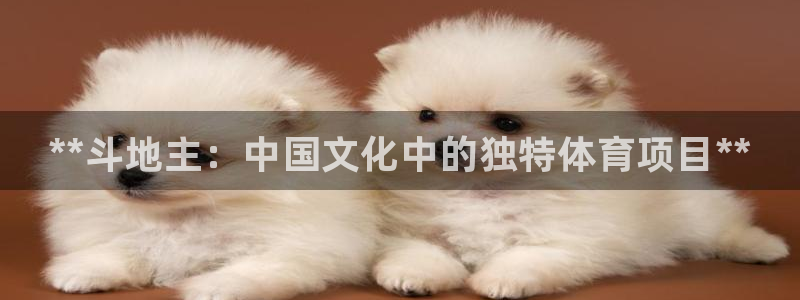 星奥娱乐集团股份有限公司