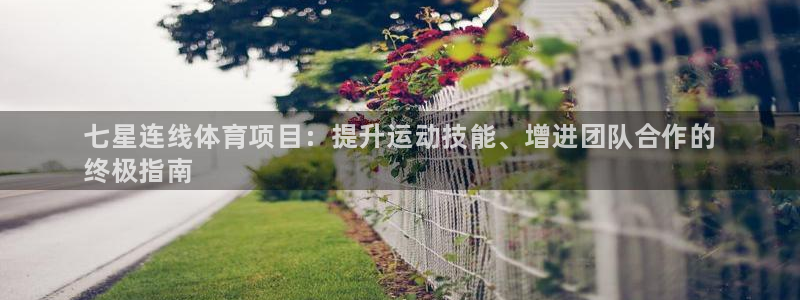 星欧娱乐app最新版本更新内容是什么