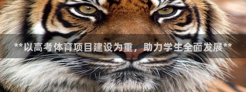 星欧娱乐挂机赚钱软件