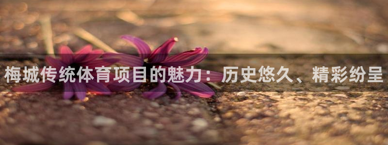 星欧娱乐彩票软件下载官网