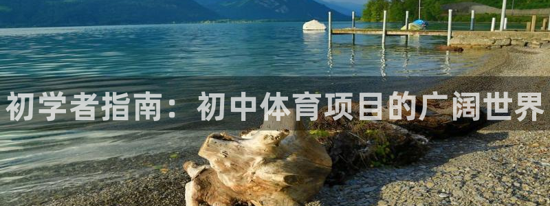 星欧娱乐公司创始人背景故事是什么